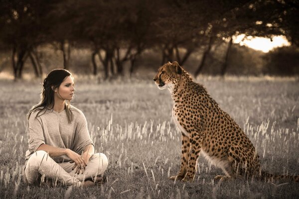 Das sitzende Mädchen und der Gepard schauen einander in die Augen