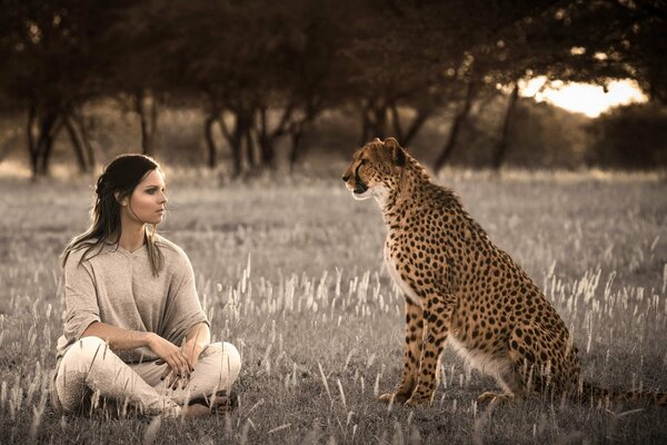 Assise la jeune fille et le guépard regardent les uns les autres dans les yeux