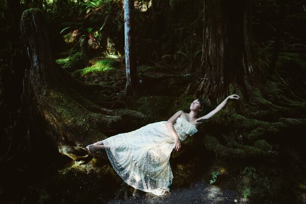 Ninfa del bosque en el bosque misterioso