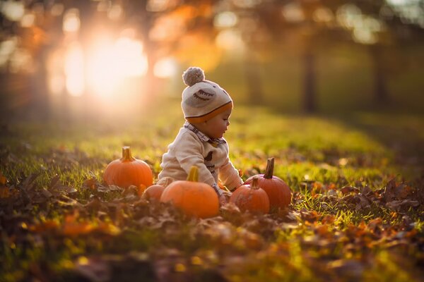 L enfant joue avec des citrouilles en automne, la nature