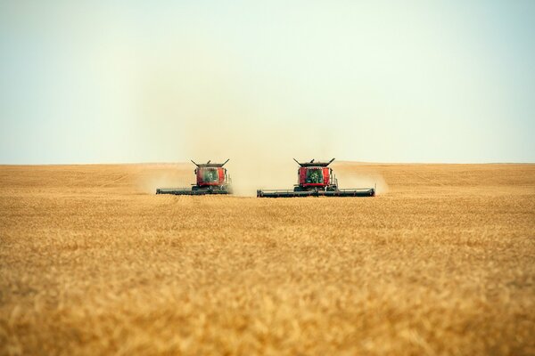 A pair of combine harvesters at work in the field