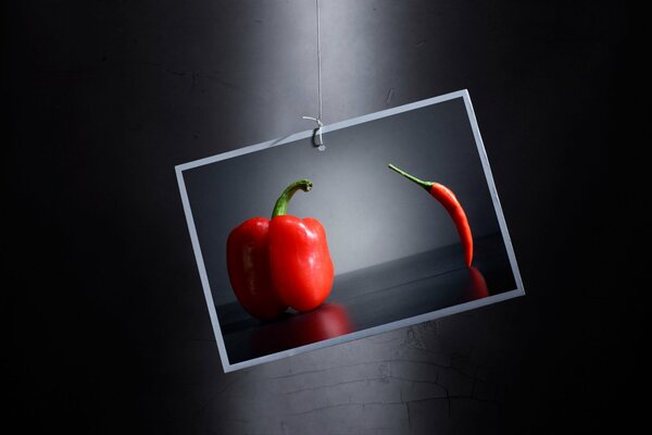 Picture of hot pepper and bell pepper