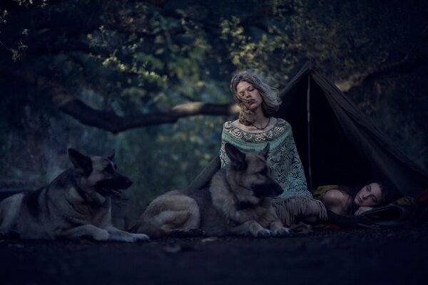 La jeune fille dans la forêt la nuit avec des chiens