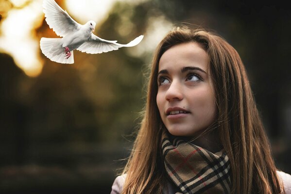 A girl dreams of seeing a white dove