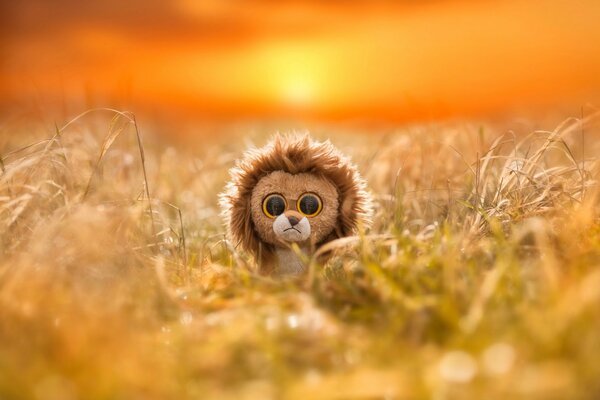 Cute lion toy in the field