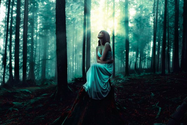 Imagen de una niña en el bosque sobre una piedra