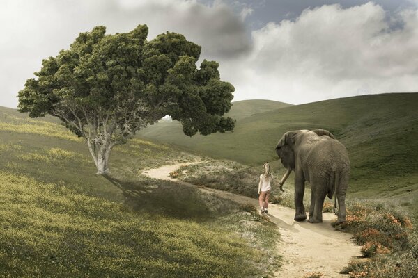 A girl leads an elephant along the road