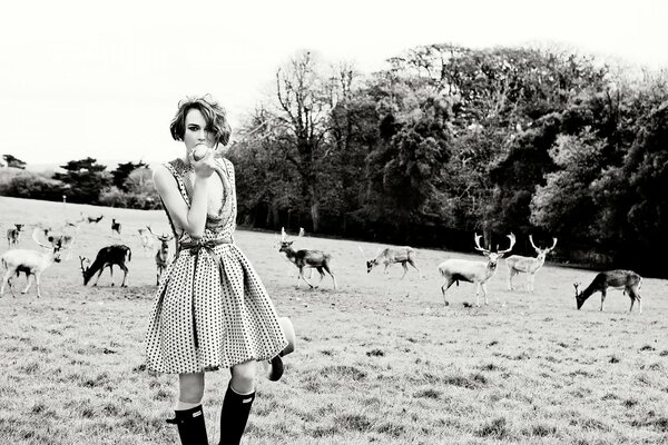 Fashionable keira knightley in a field with deer