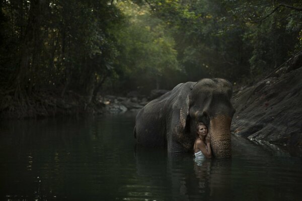 Elefante con un hombre en el río del bosque