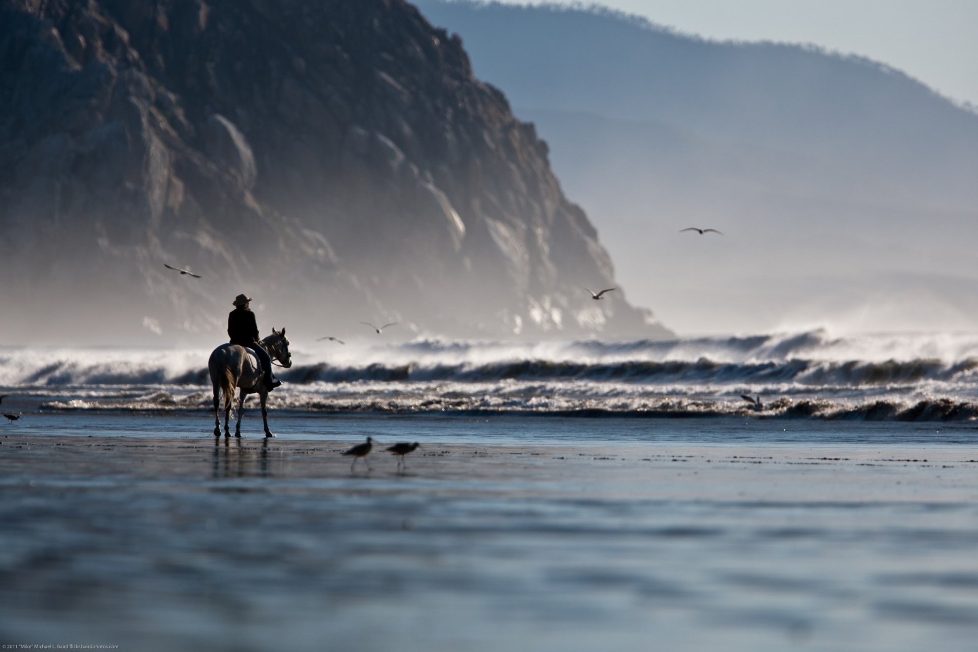 nature coast coast beach sand sea waves mountains rocks seagulls rider man horse tilt shift awning shift background wallpaper