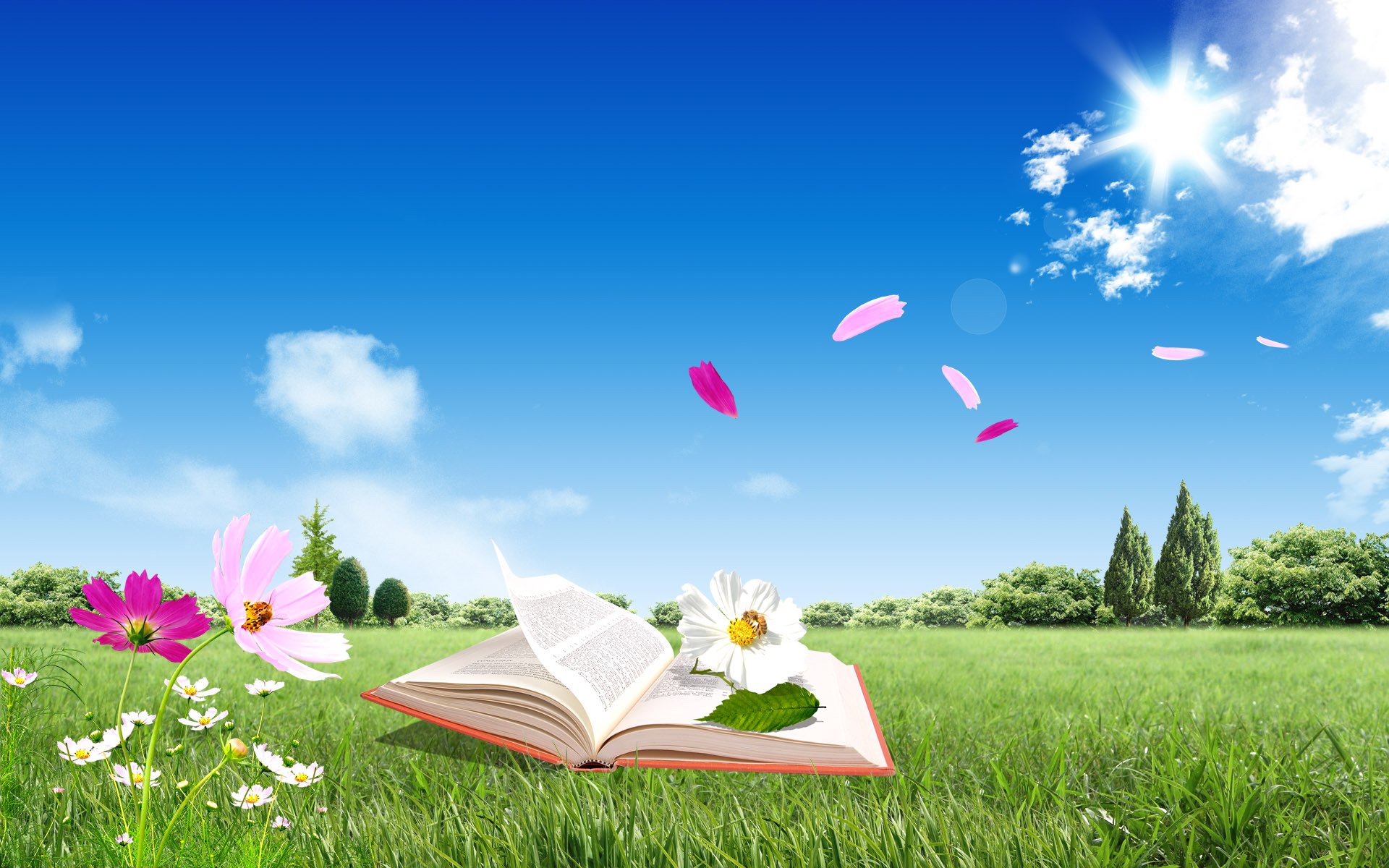 book book flowers leaves sky clouds blue