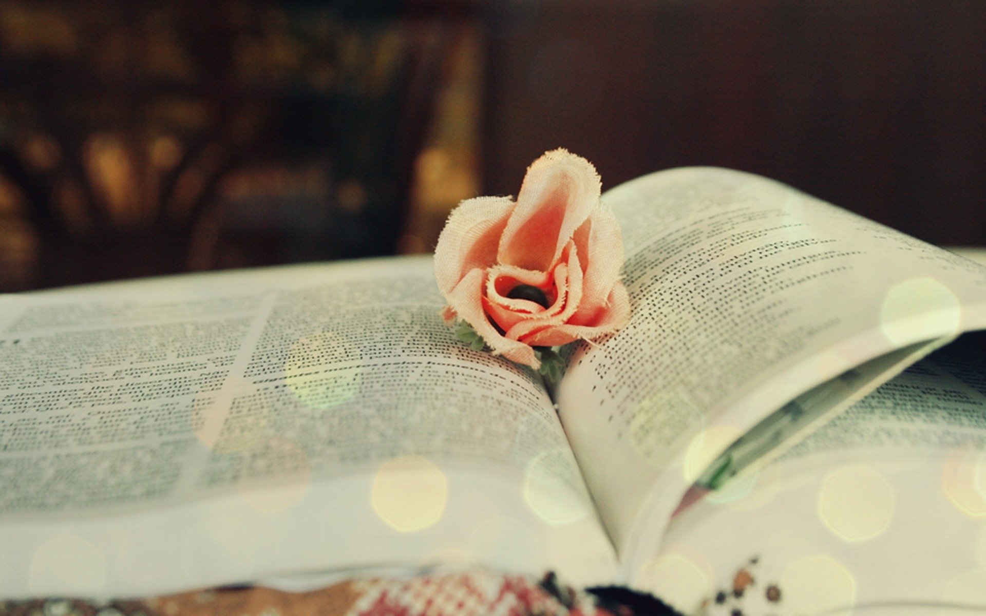 libro flor reflejos lectura color estado de ánimo macro