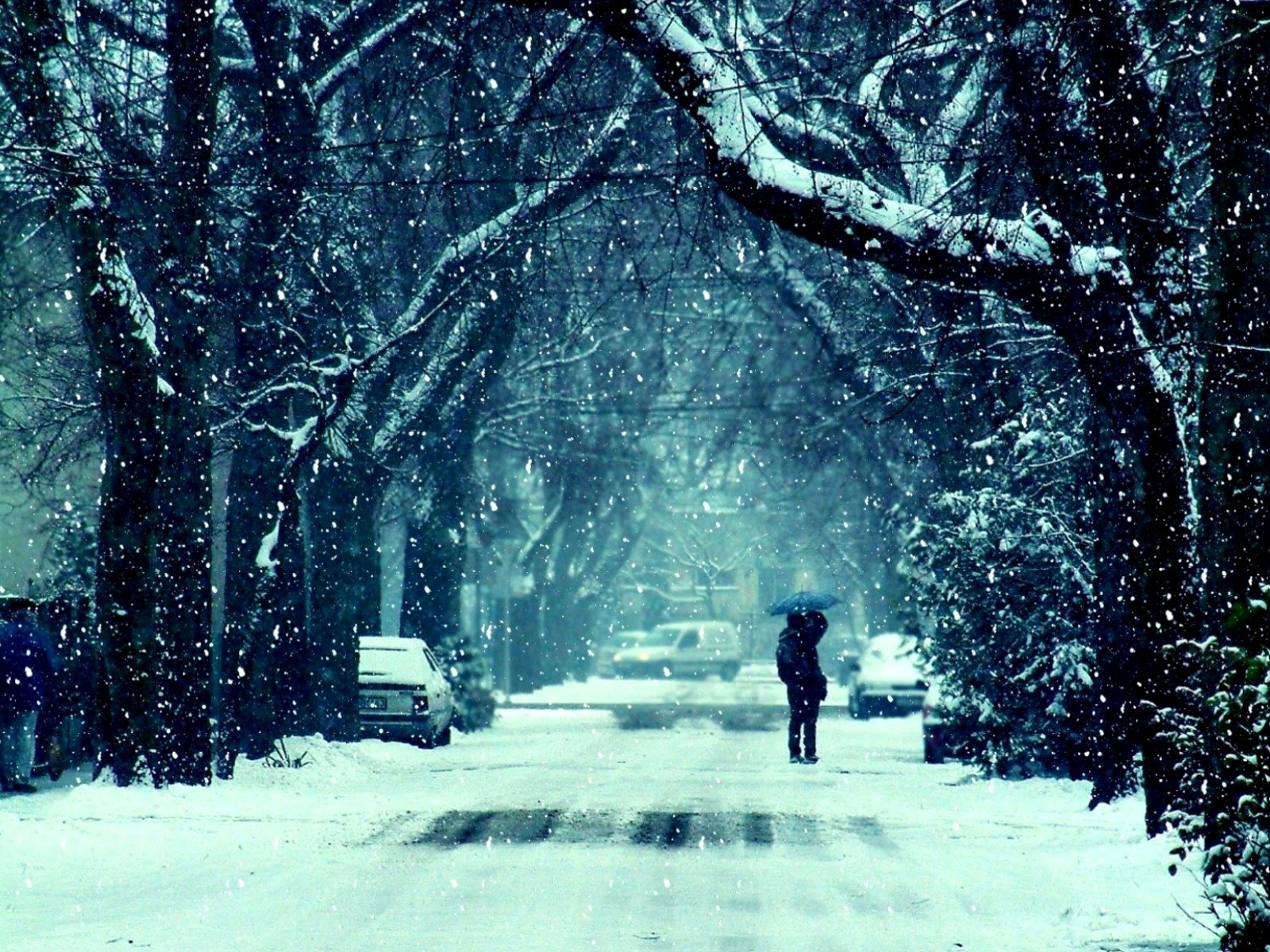 winter frost snow road tree the pair girl guy kiss mood feelings photo background wallpaper