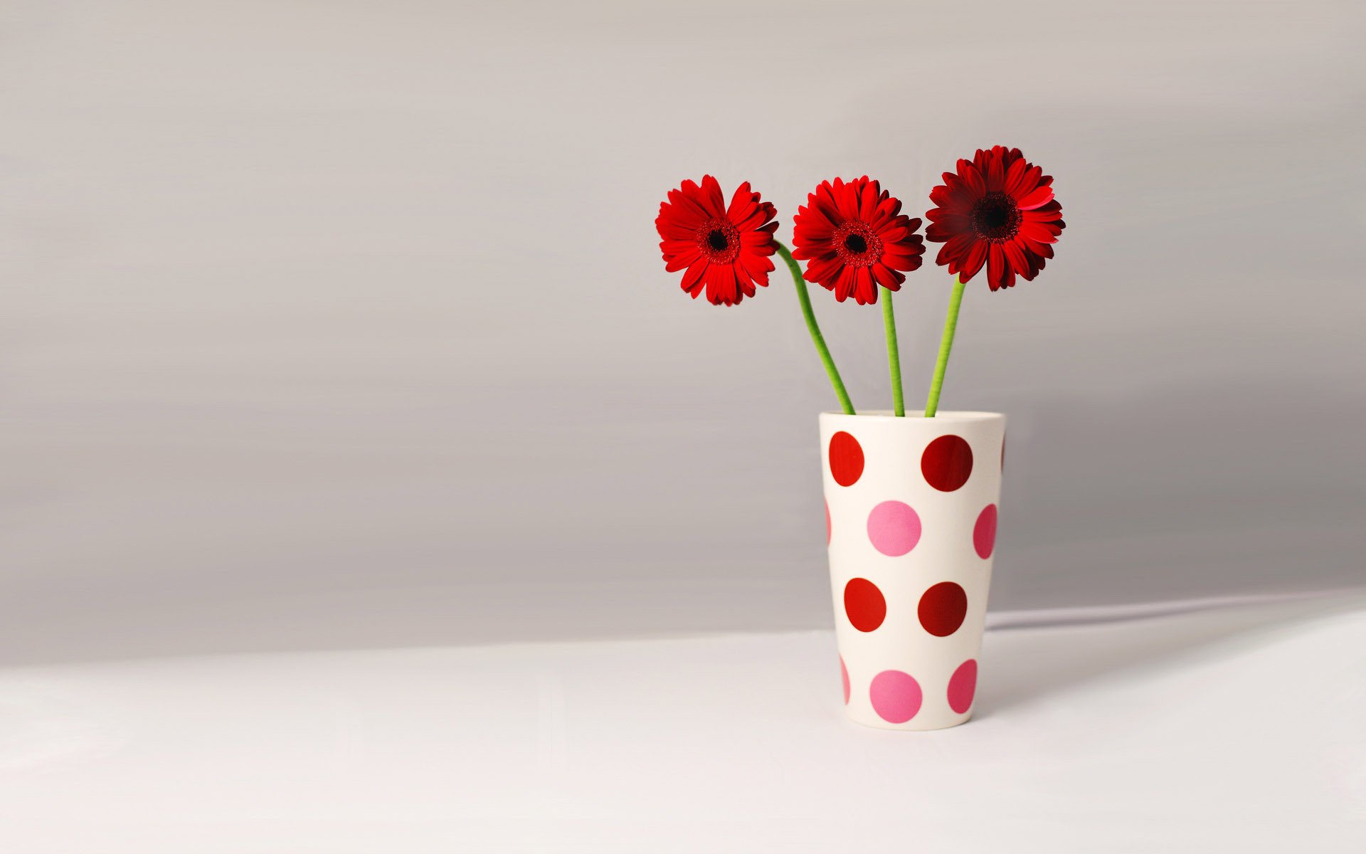 stimmung stimmung gerbera blumen im glas becher mit tupfen