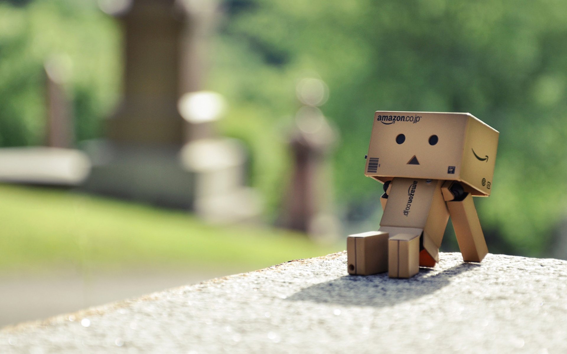 danbo pudełko pudełko