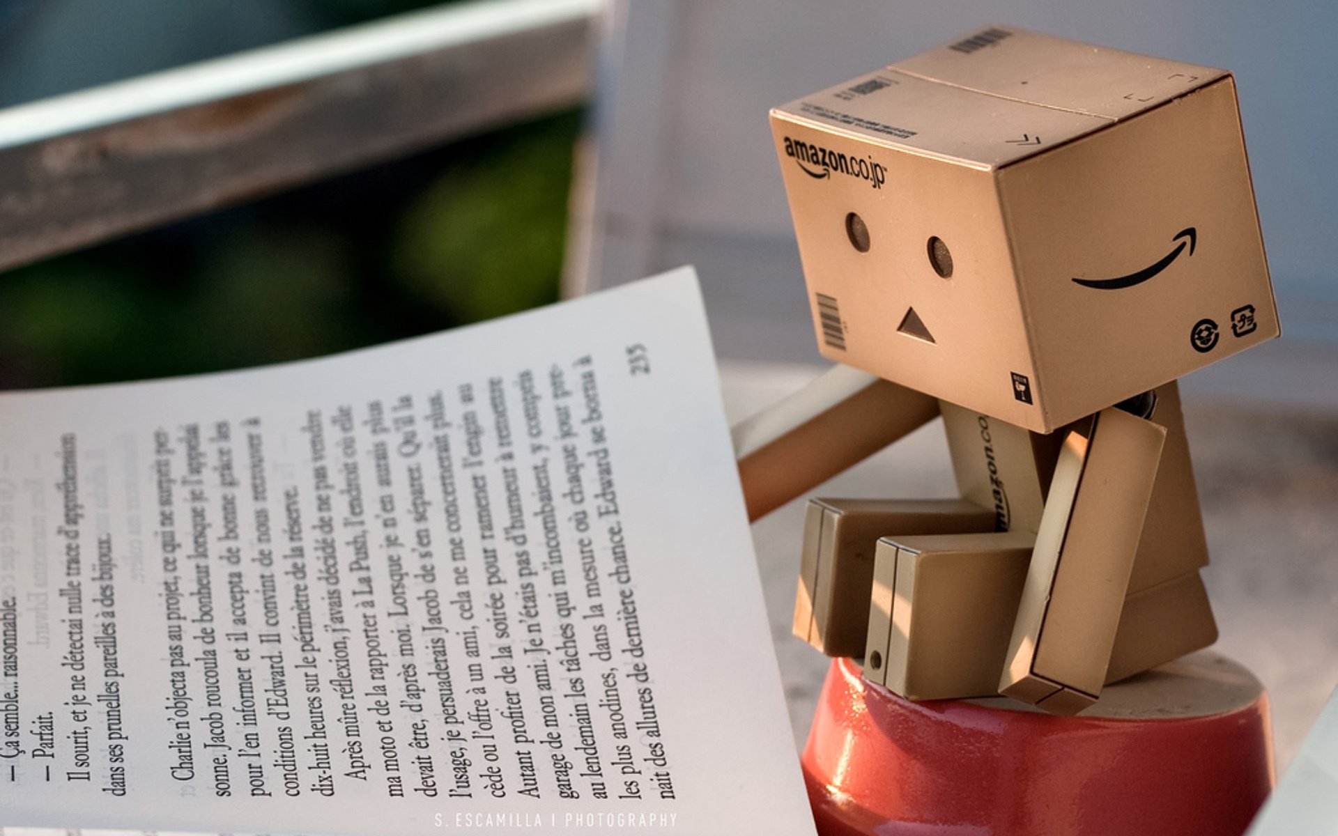 danbo caja libro