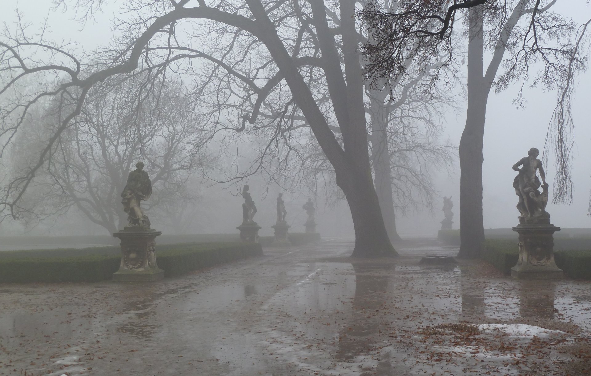 primavera parque aguanieve niebla escultura neblina camino