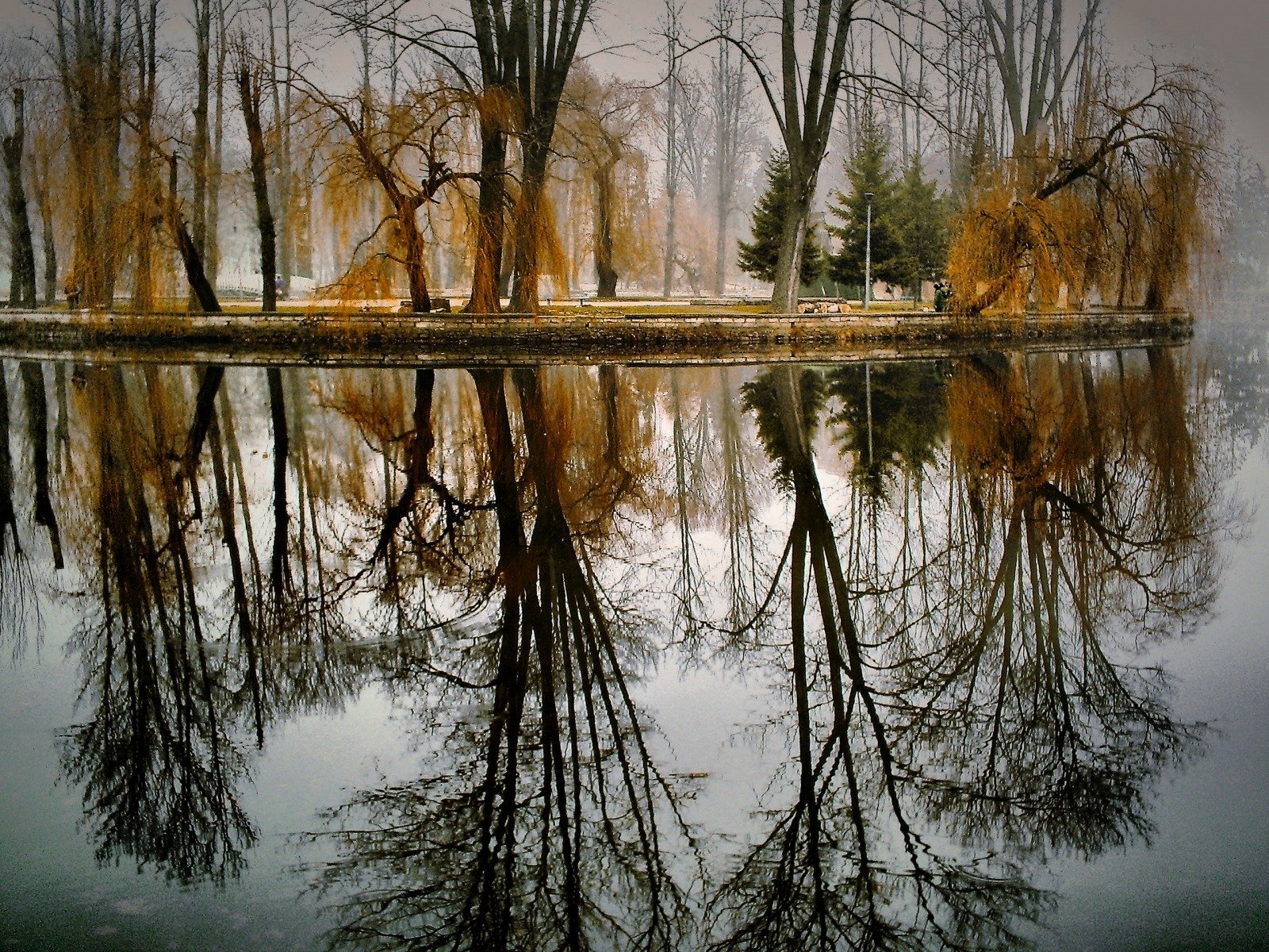 herbst bäume see