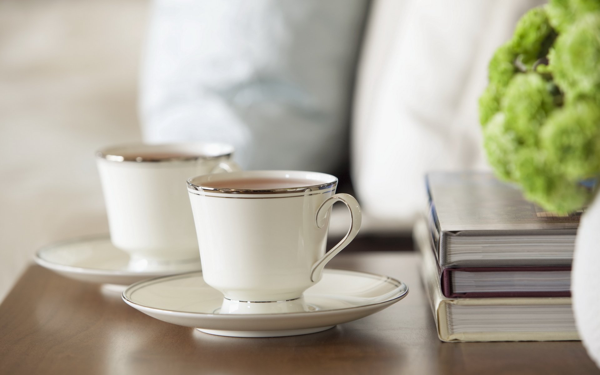 essen tee kaffee tasse becher bücher lehrbücher grün teller weißer hintergrund