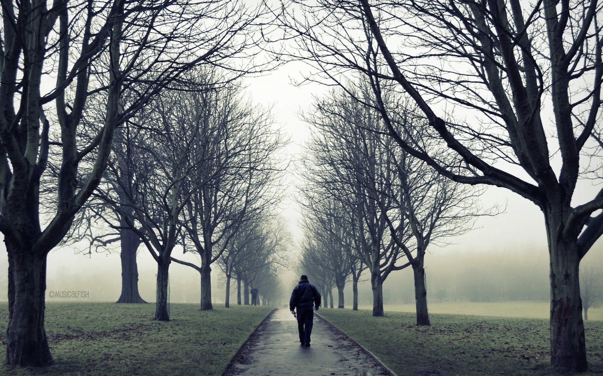 mężczyzna mężczyzna sam spacer samotność park drzewa gałęzie jesień mgła droga nastrój