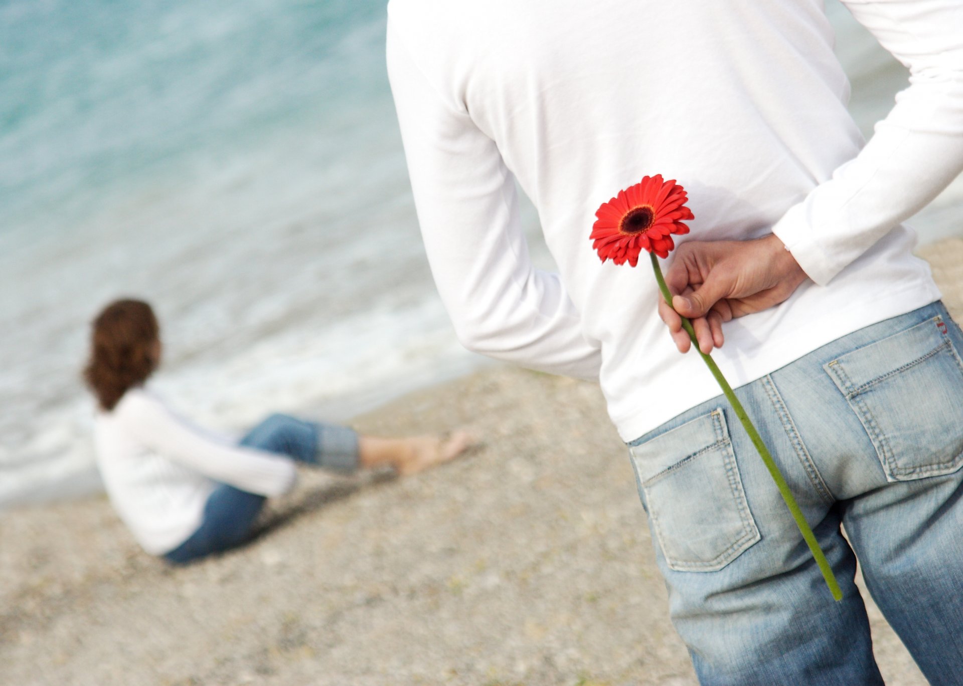 coppia spiaggia fiore romanticismo amore