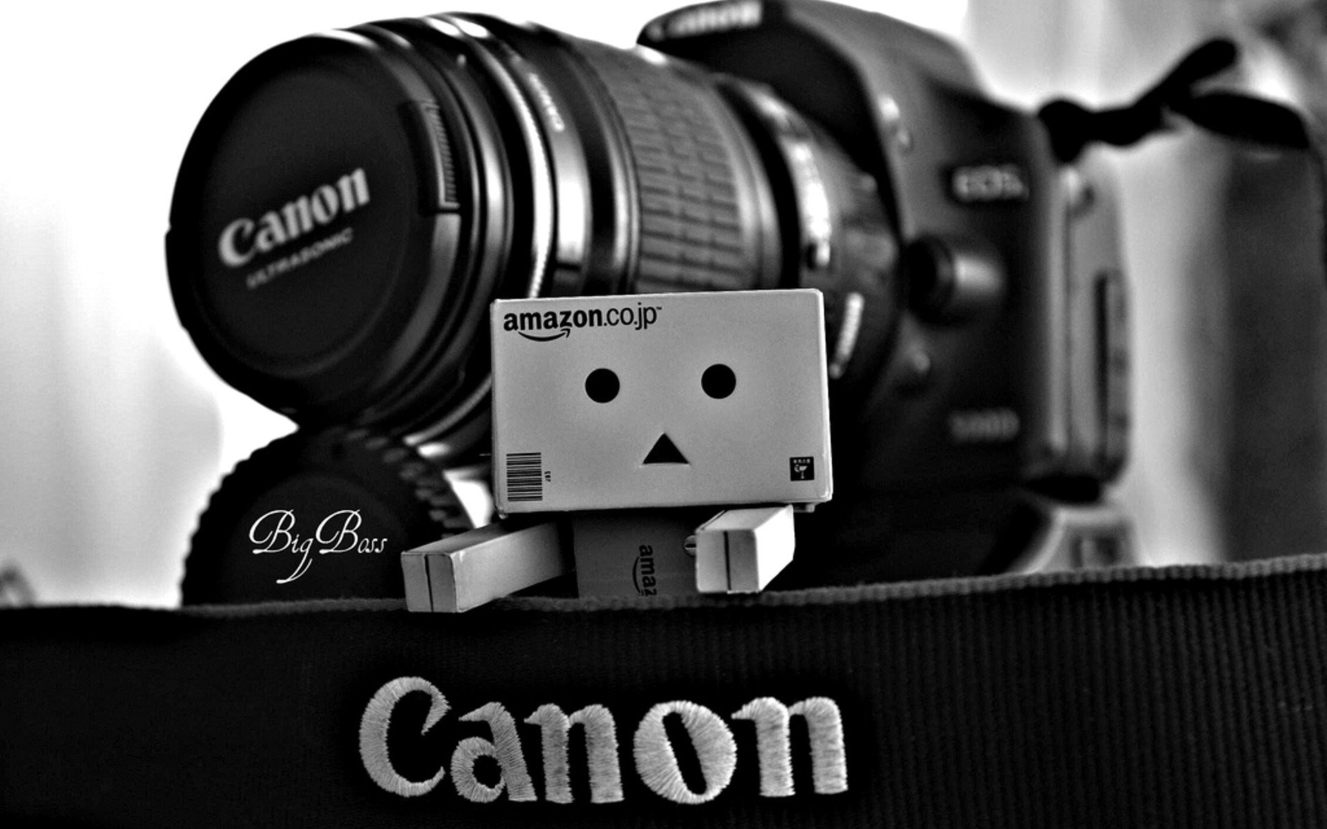 danbo canon appareil photo boîte