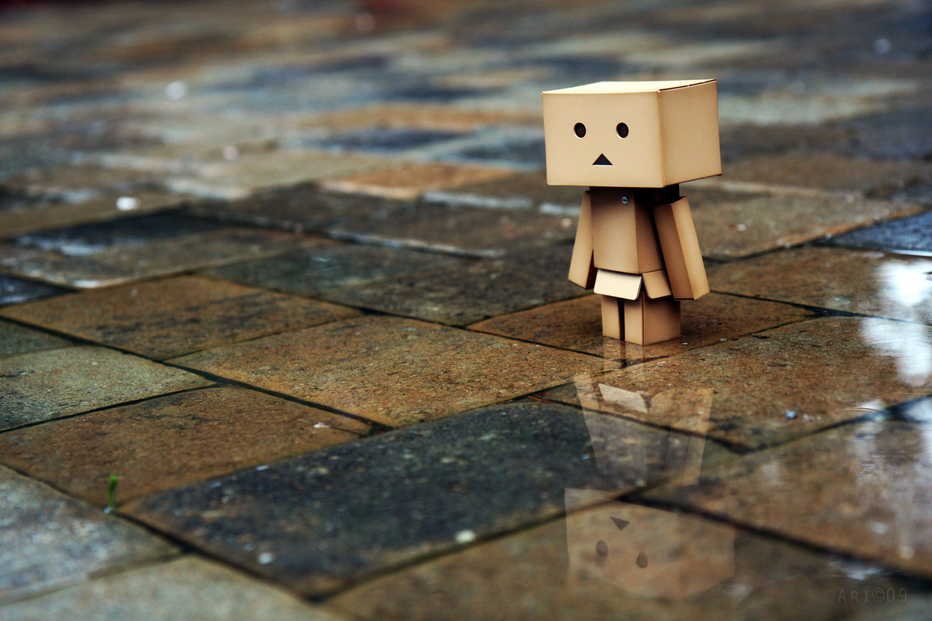 danbo коробочка коробочный человечек дождь плитка грусть