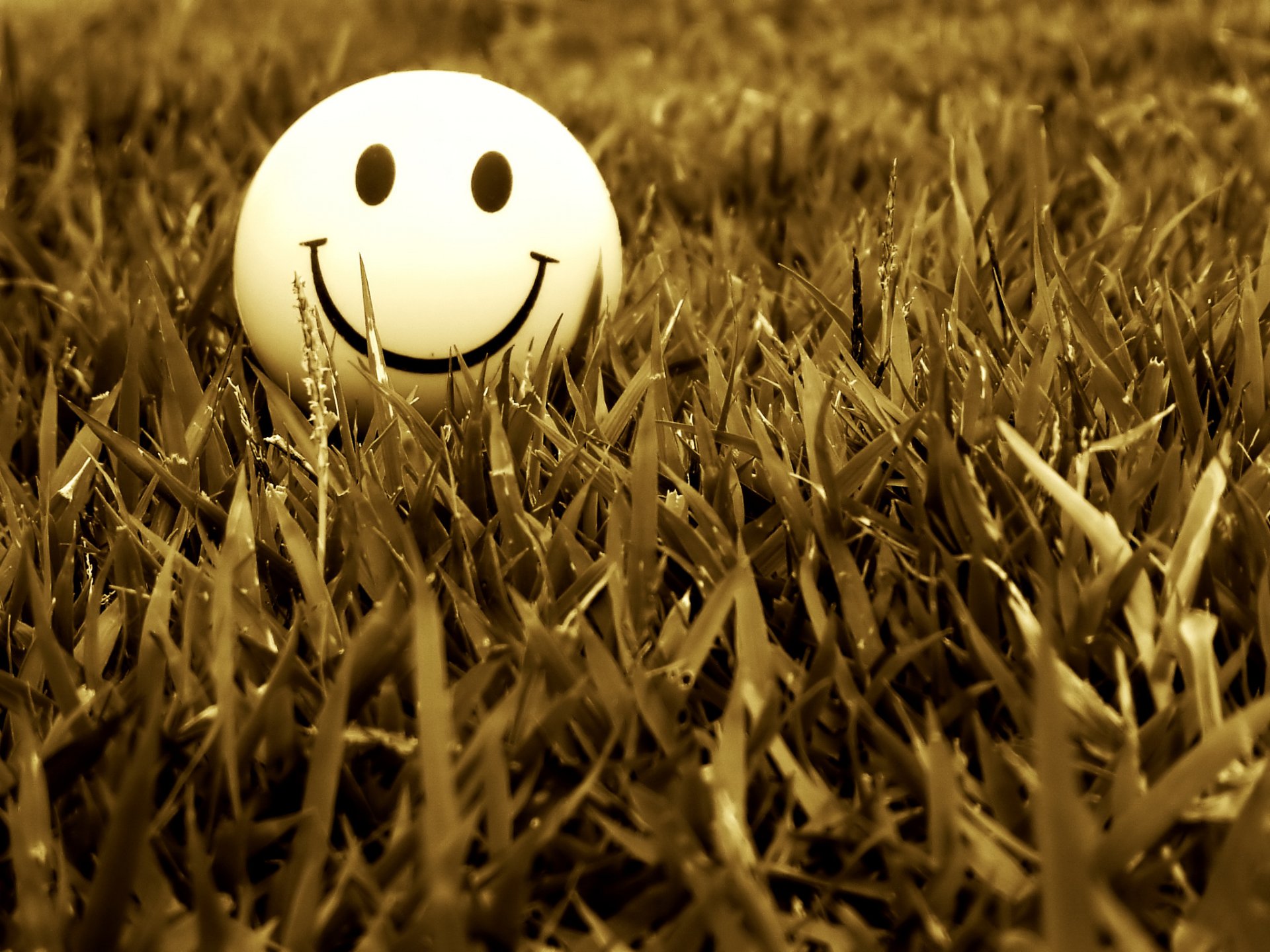 mile smile grass mood