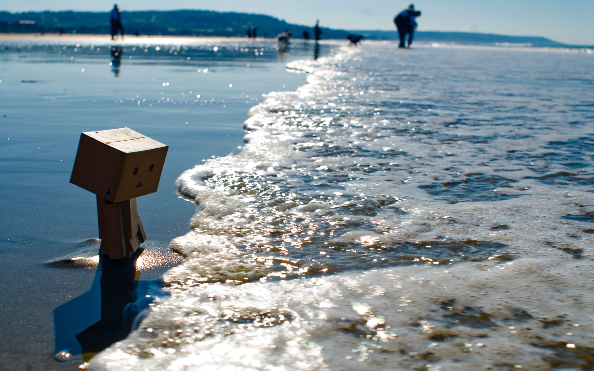 danbo caja orilla playa marea