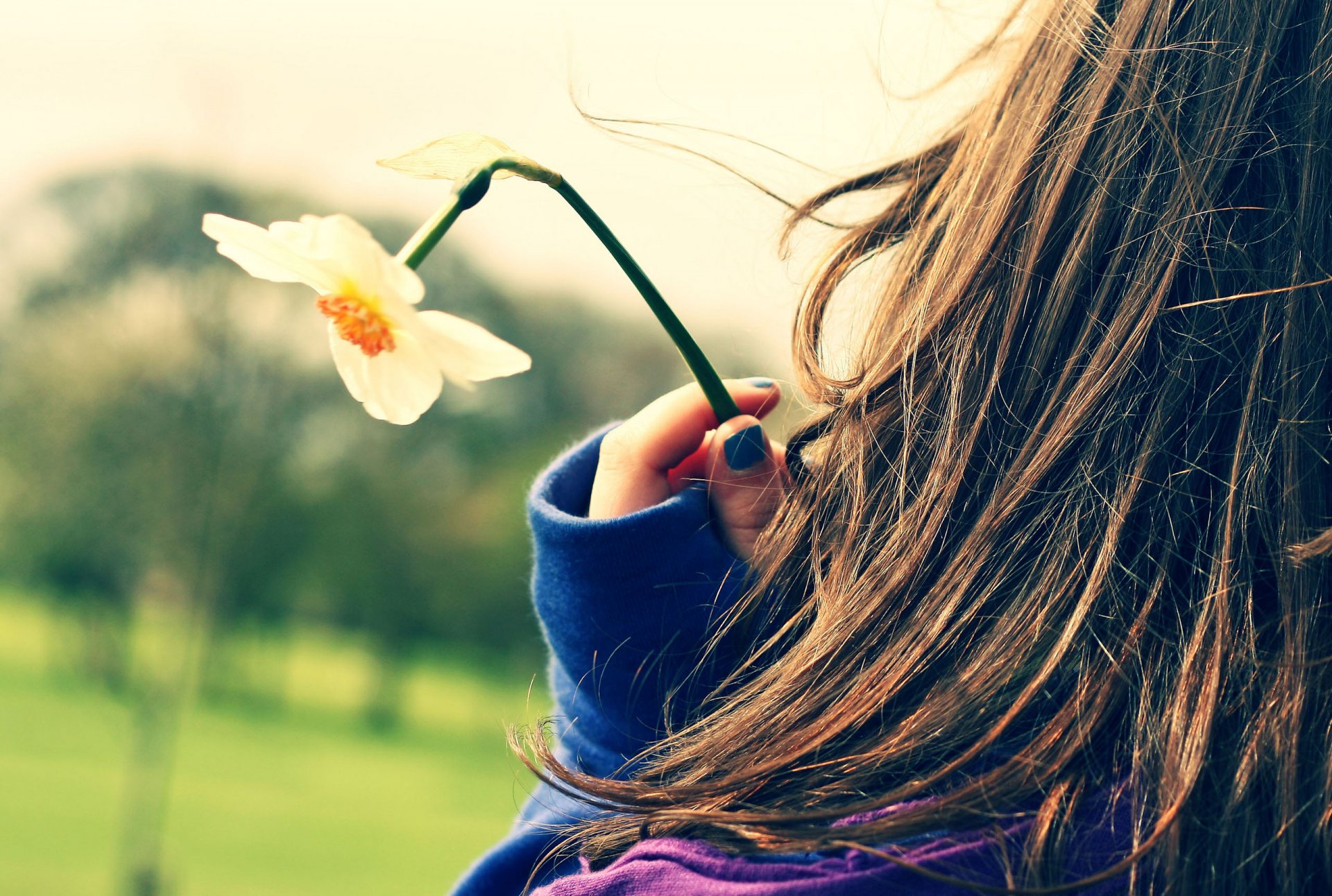 stimmung stimmung mädchen weiblich zu fuß frische haare romantik blumen narzissen kleidung zärtlichkeit