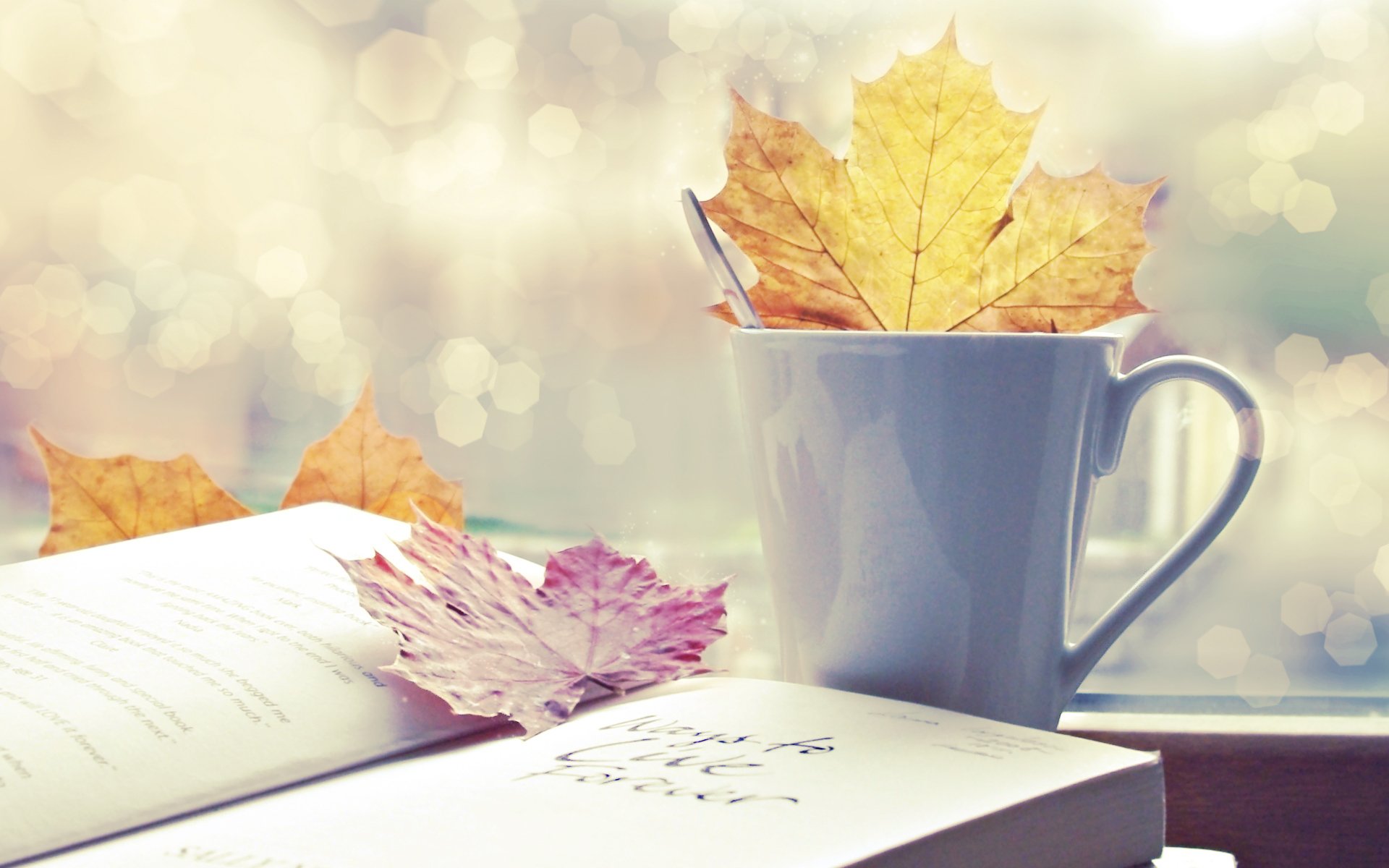 autunno foglie tazza libro bokeh