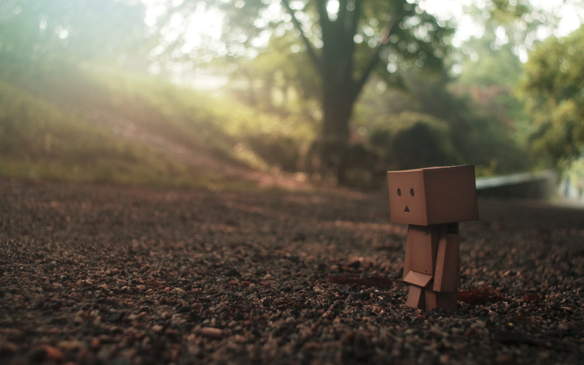 danbo tierra camino mirada tristeza uno macro