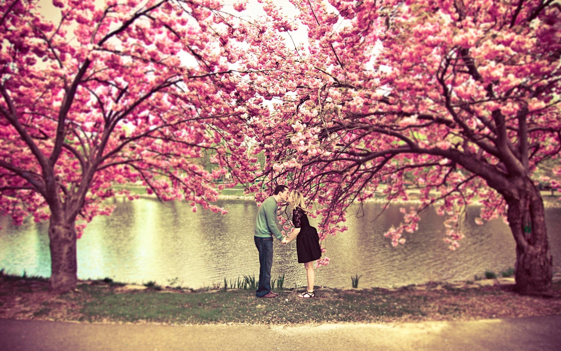 umore natura romanticismo ragazzi ragazze amore amicizia relazioni bacio baci calore alberi autunno bellezza nostalgia