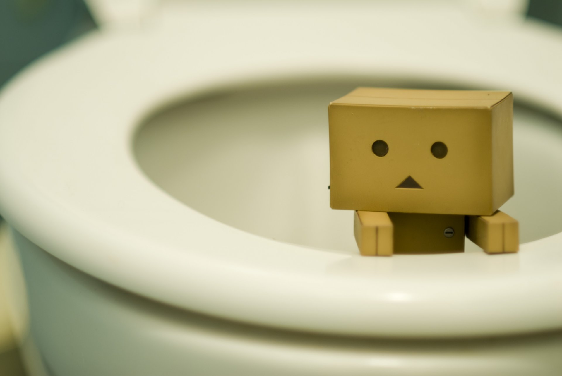 danbo boîte figurine toilette toilette besoin