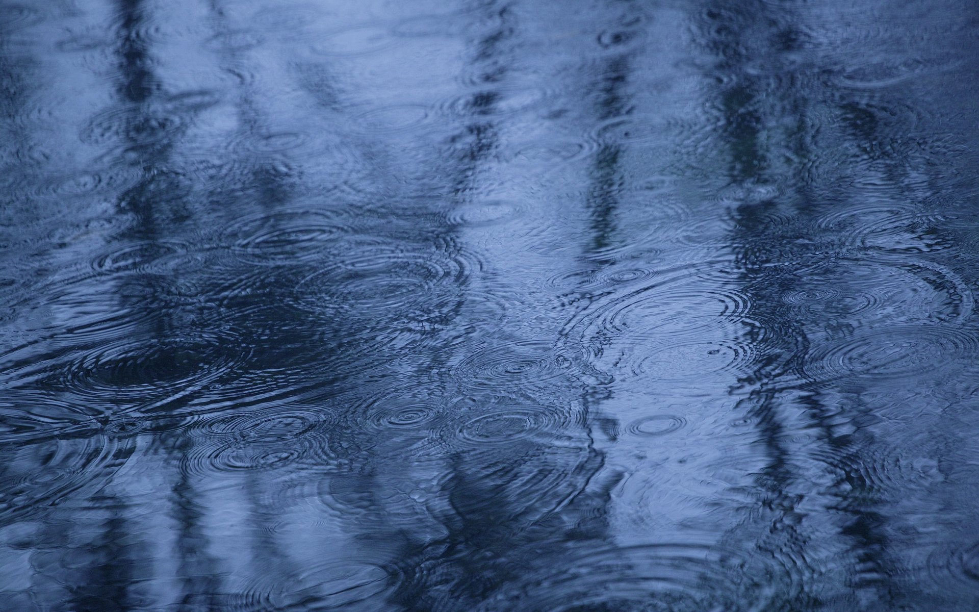 autumn rain a pool reflection water