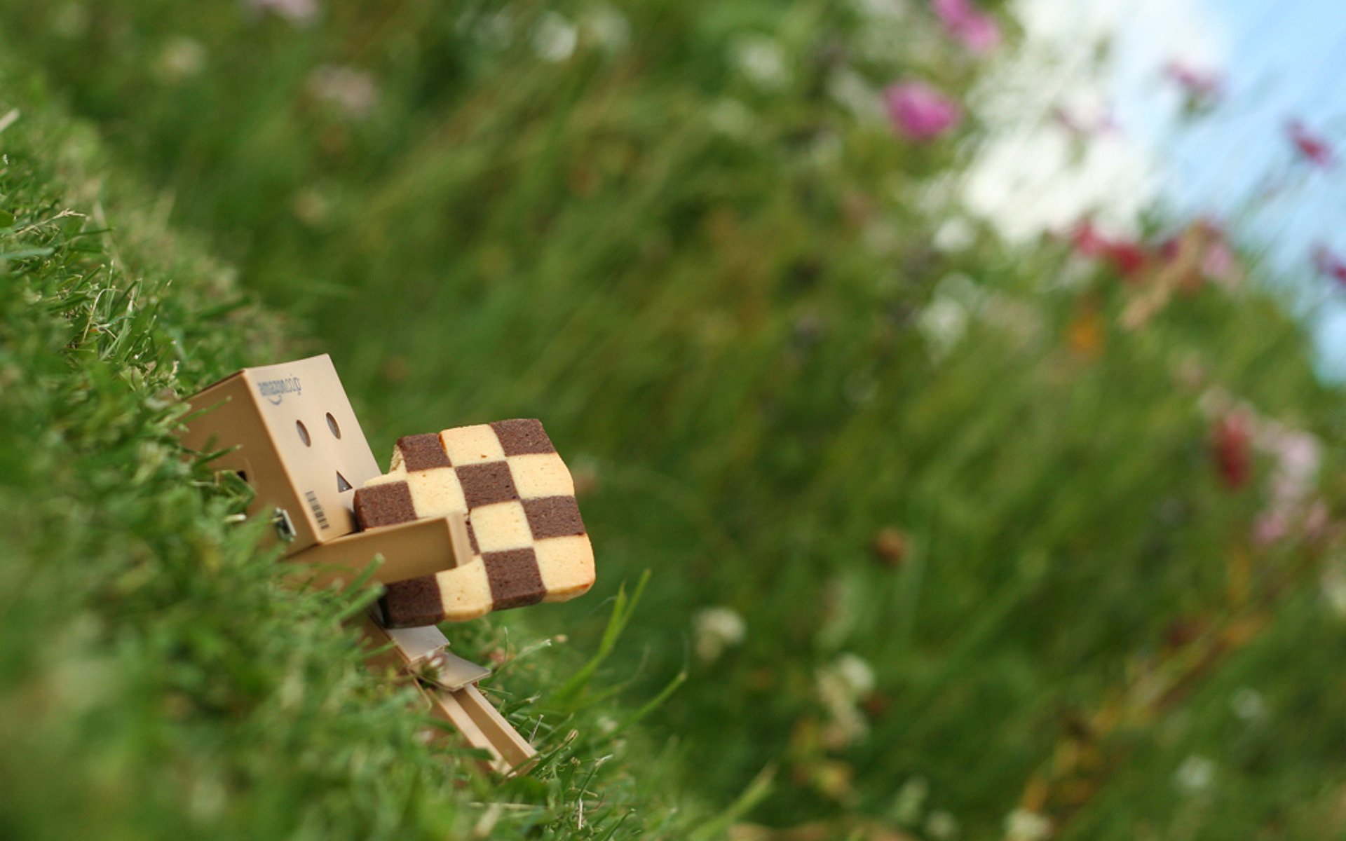 danbo scatola biscotto erba