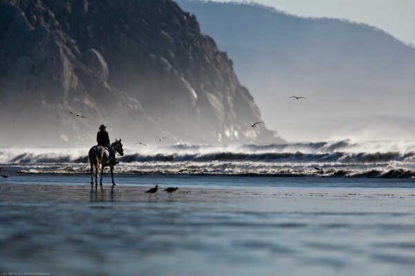 Homme à cheval sur l océan et la montagne