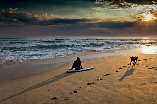 Evening walk with a dog on the sea