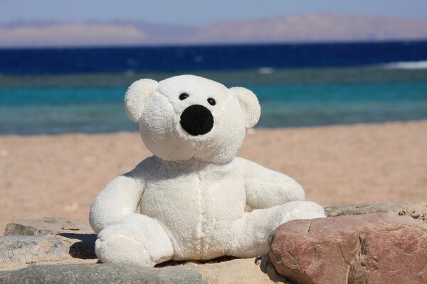 Fond d écran de bureau avec un jouet en peluche