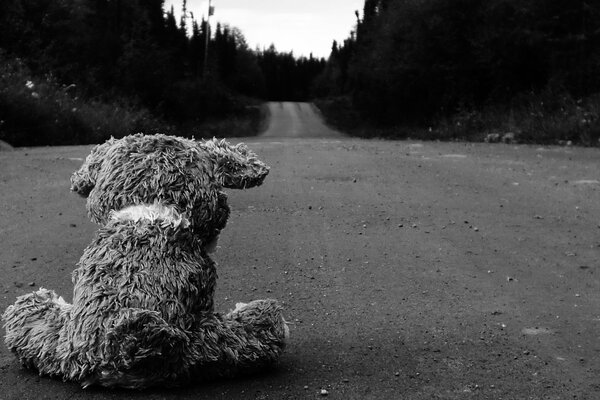 En el camino pobre y solitario oso