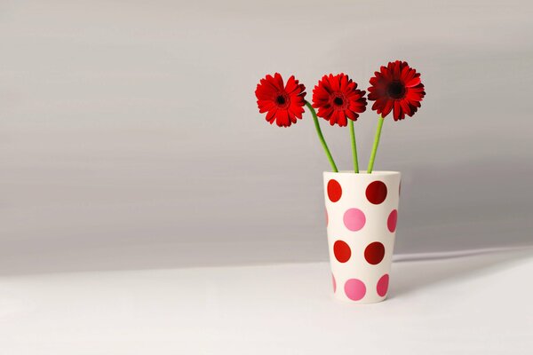 Gerbera dans un vase avec des pois