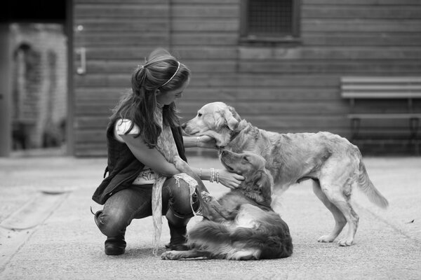 Ragazza gioca con i cani devozione