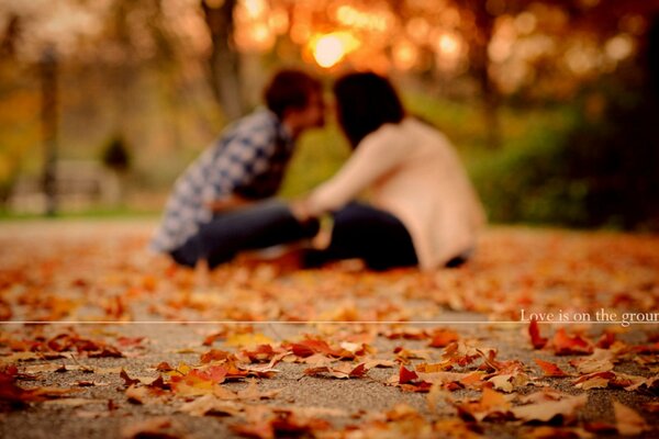 Pareja enamorada sentada en el follaje de otoño