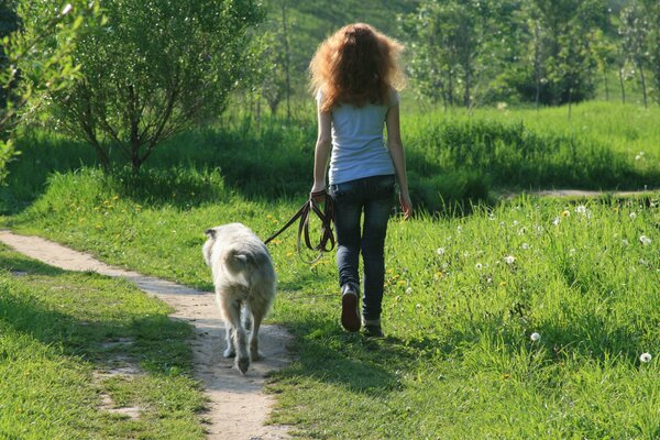 A girl with a dog. A walk in the woods