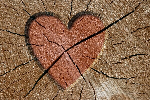 Corazón en grietas en el tronco de un árbol