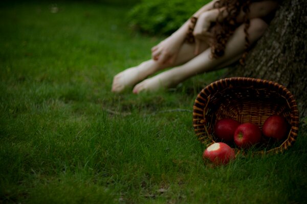 A girl with a basket and apples on the grass