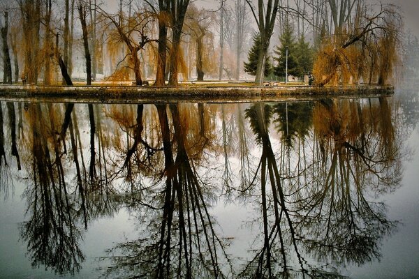 Herbst Natur am See Bäume