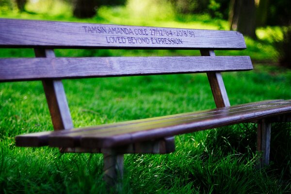 A quiet bench in the grass