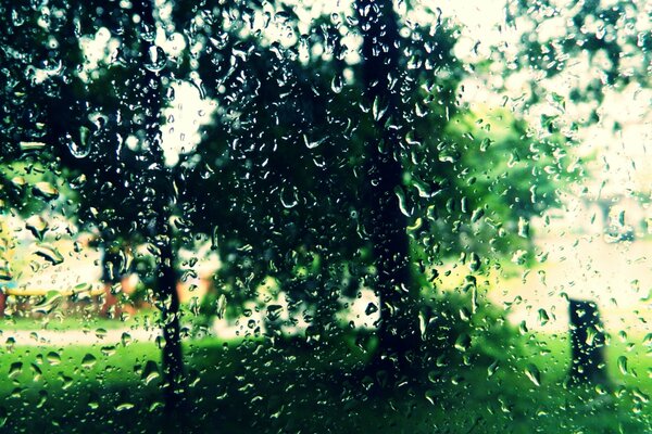 Raindrops on the glass in summer