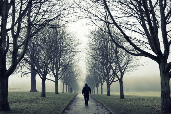 L humeur de la solitude est une promenade automnale dans le brouillard le long de la route, le long de laquelle les branches nues des arbres pendent lourdement
